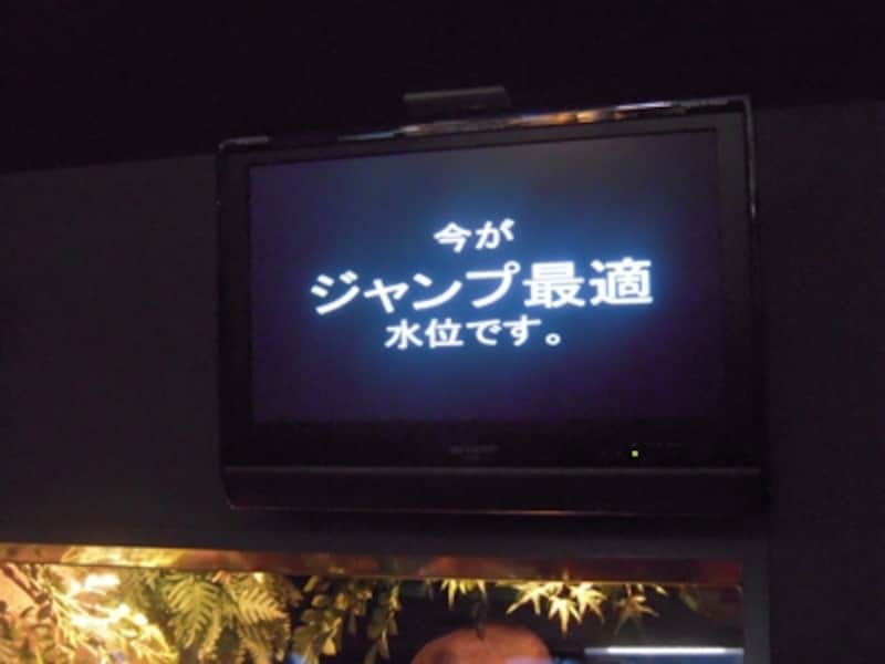 新江ノ島水族館