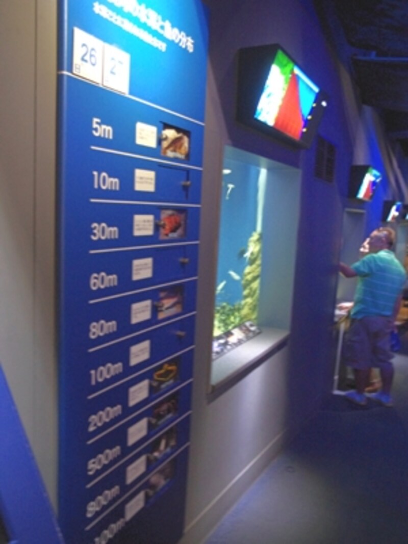 新江ノ島水族館