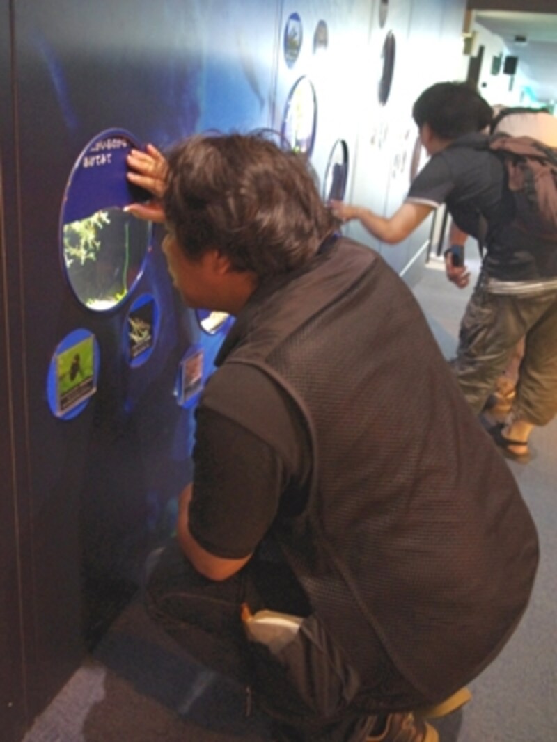 新江ノ島水族館