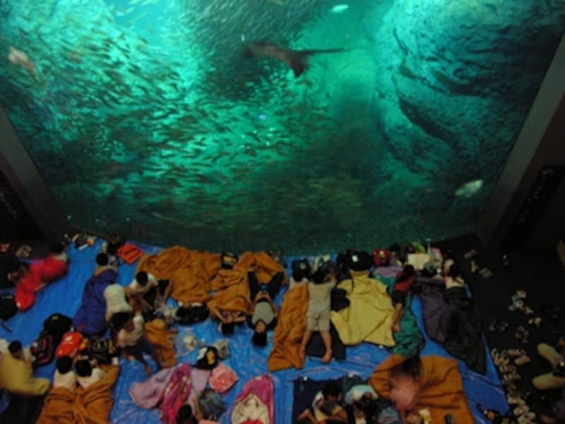 新江ノ島水族館