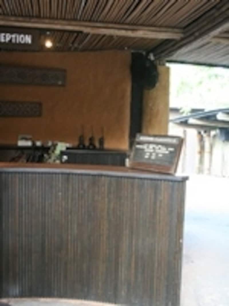 ナイトサファリ