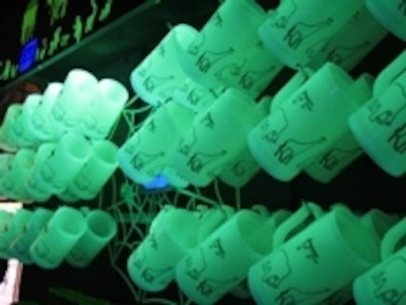 ナイトサファリのお土産