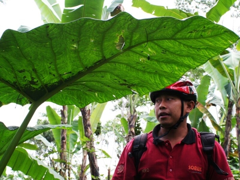 レンジャーとエコツーリズム