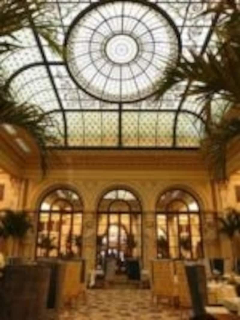 パームコート内観