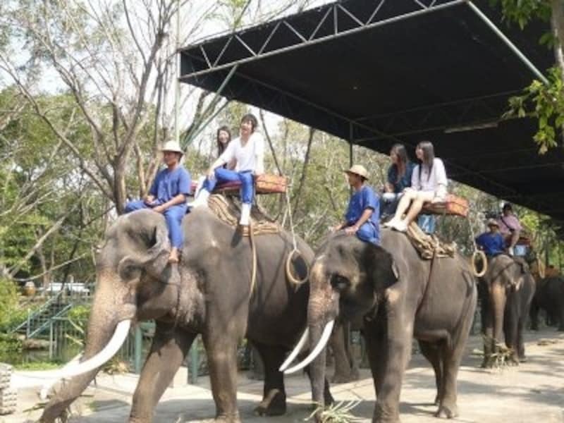 象undefinedショー