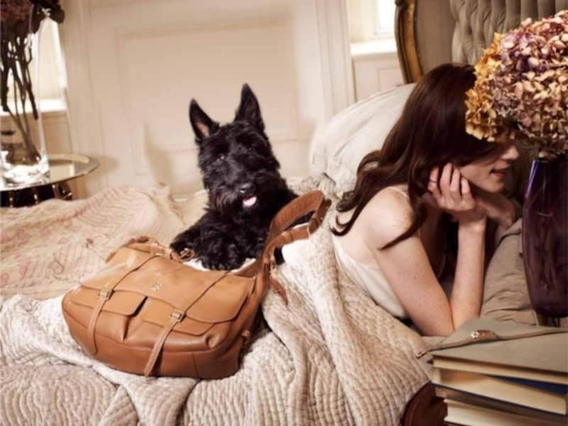 「RADLEY(ラドリー)」が日本初上陸