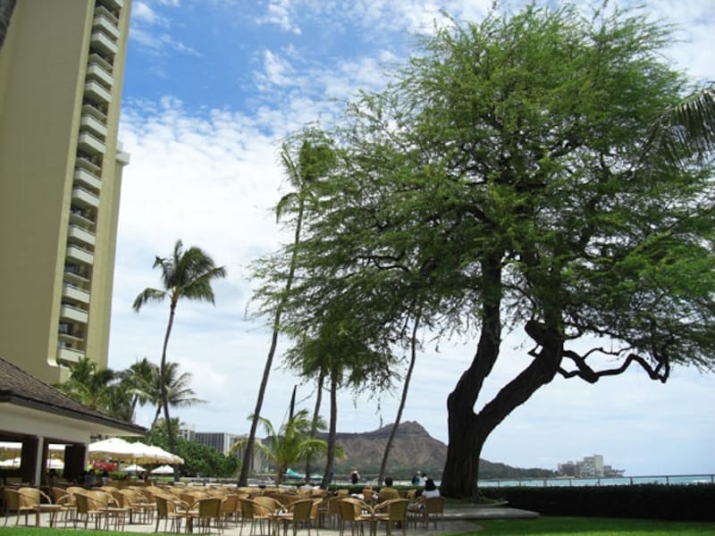 オーキッズのテラス席からの絶景