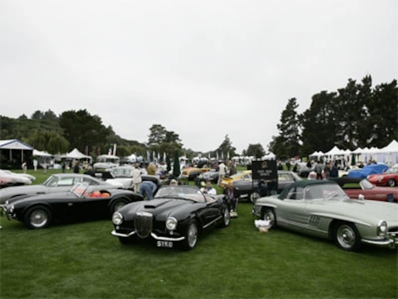 モータースポーツ・ギャザリング