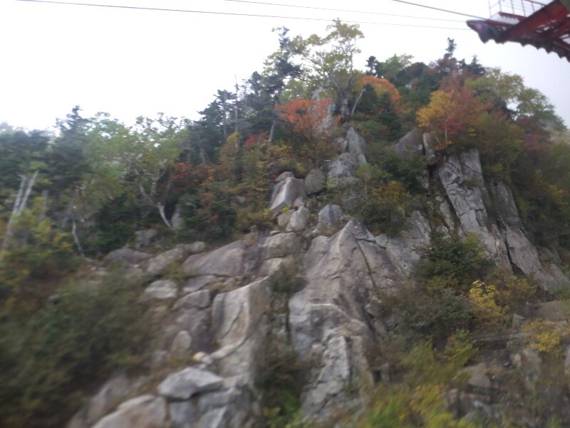 ロープウェイからの眺め／崖の紅葉・黄葉