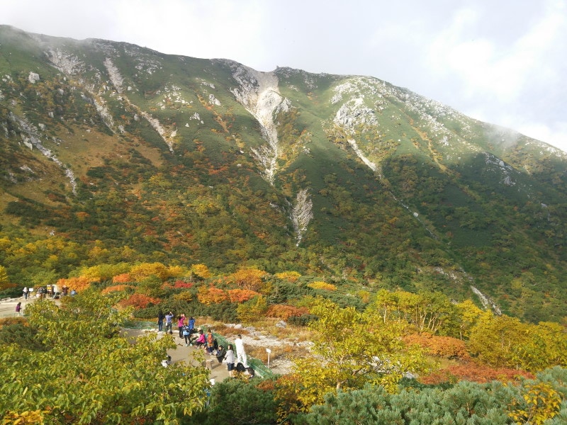 千畳敷カールの紅葉・黄葉（3）