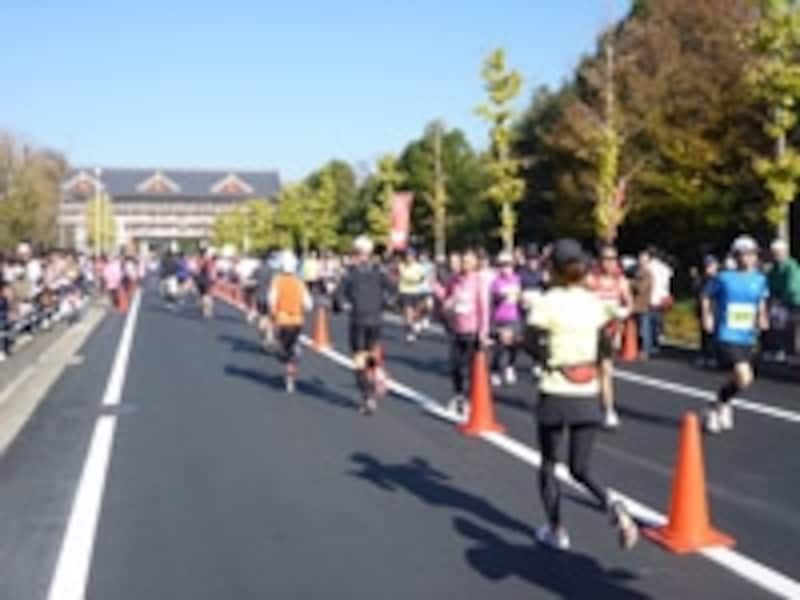 「奈良マラソン」天理市の折り返しでは高橋尚子さんがハイタッチ