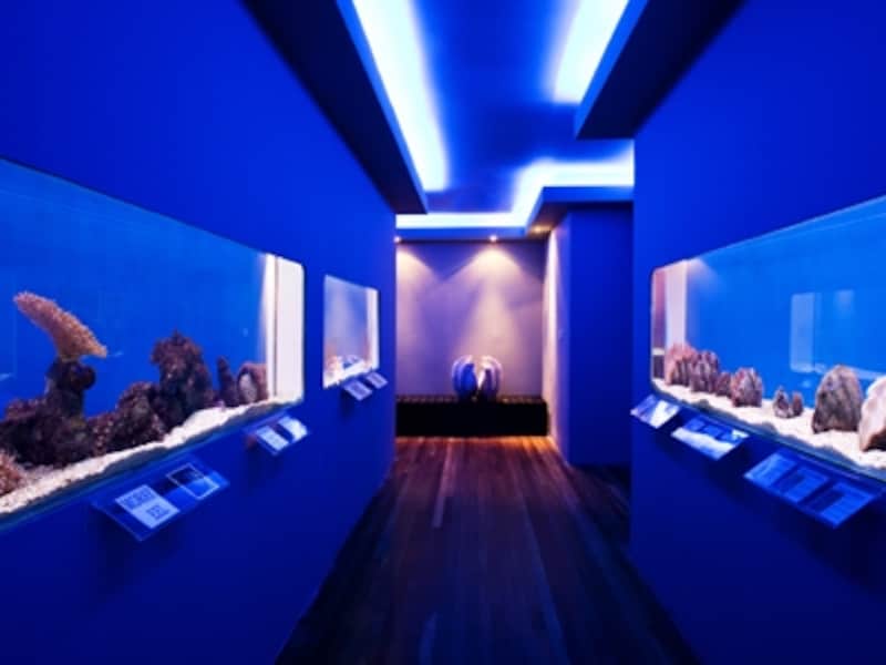 ガヤナ・エコ・リゾート