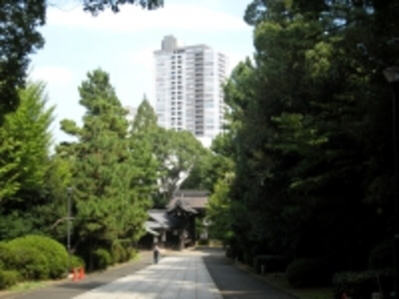 總持寺から望むタワーマンション