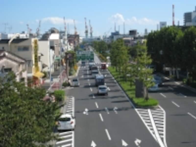 湾岸エリアを望む