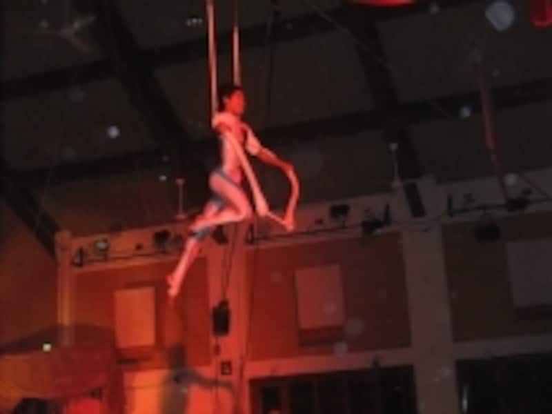 ショーの司会は支配人とG.O。このサーカスをしているのもG.O！