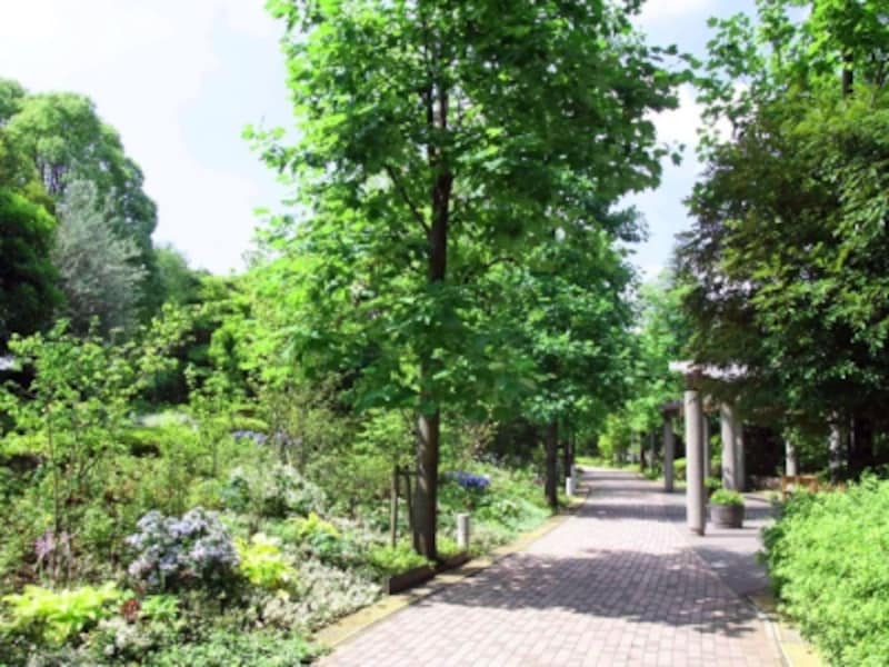 キリンビール横浜工場内には池や緑のビオトープがつくられており、横浜の自然環境を守る活動を展開しています（画像提供：キリンビール横浜工場）