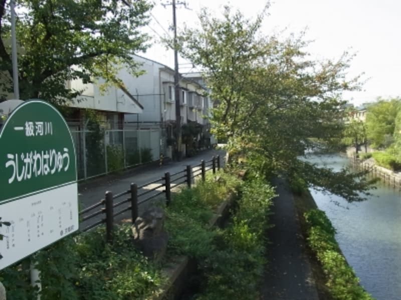 うじかわはりゅう