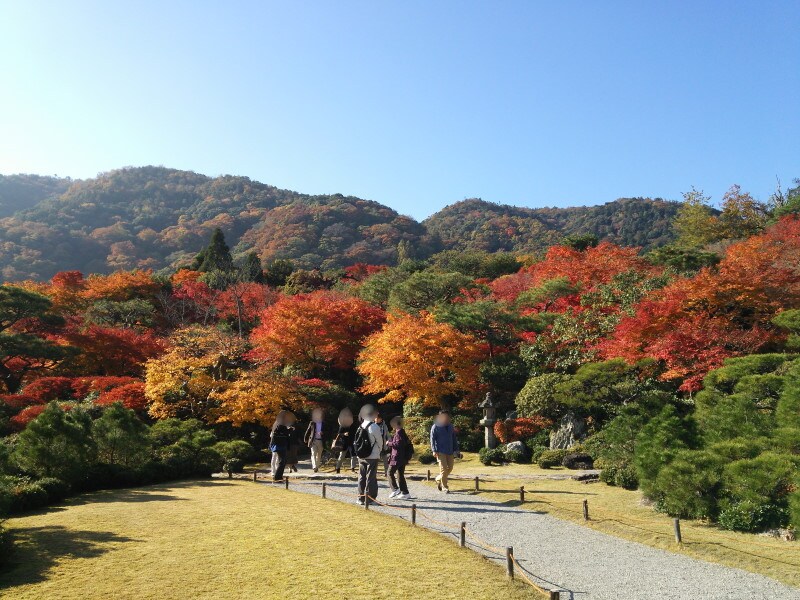 大河内山荘庭園の紅葉
