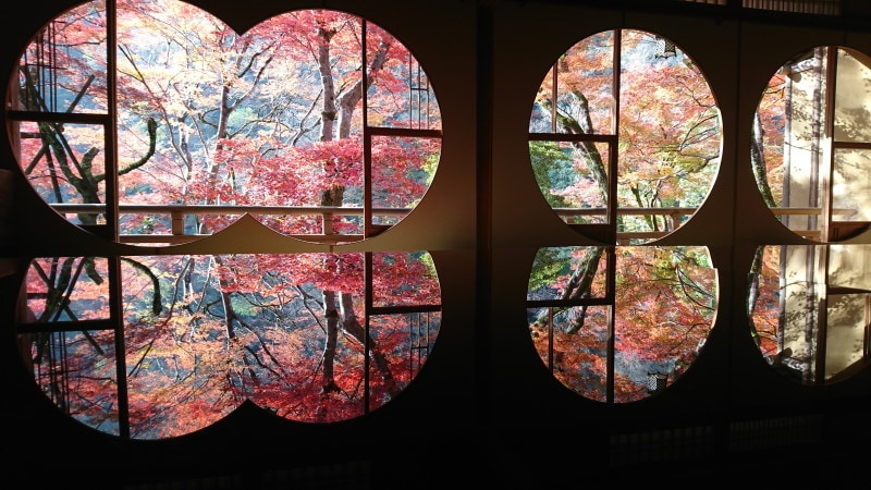 祐斎亭の机紅葉