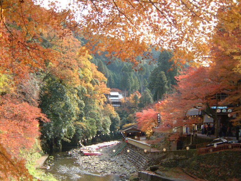 高雄橋のたもとから眺める紅葉