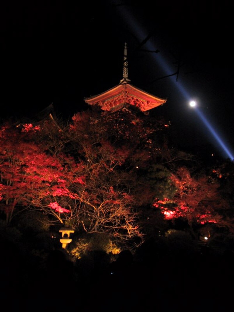 清水寺の紅葉(2)/ライトアップ
