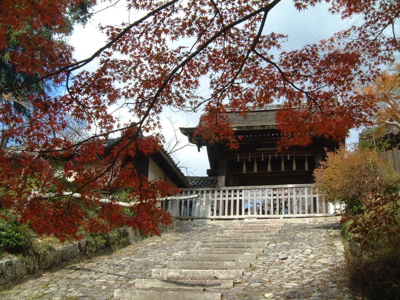 毘沙門堂門跡の紅葉