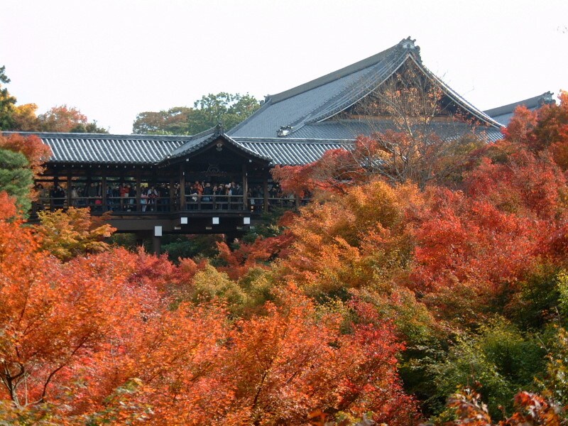 東福寺の紅葉(1)