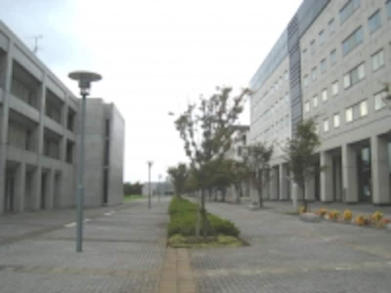 東大柏キャンパス