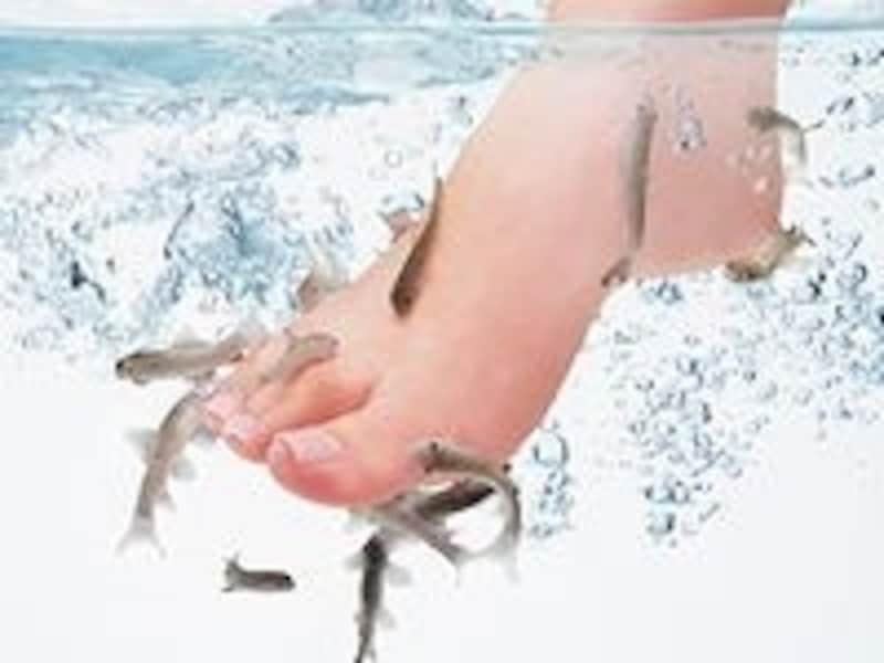 ドクターフィッシュさん