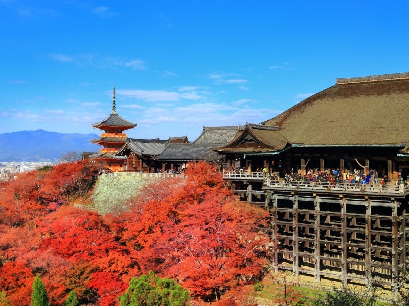 秋の京都を着物で散策