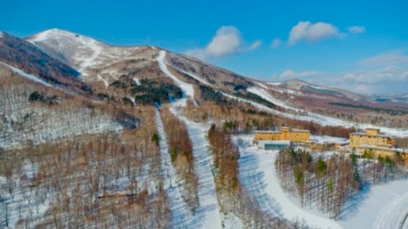 北海道で子連れスキー 子供大満足のファミリーにおすすめゲレンデ 子供と遊ぶ All About 北海道で子連れスキー 子供大満足のファミリーにおすすめゲレンデ 子供と遊ぶ All About