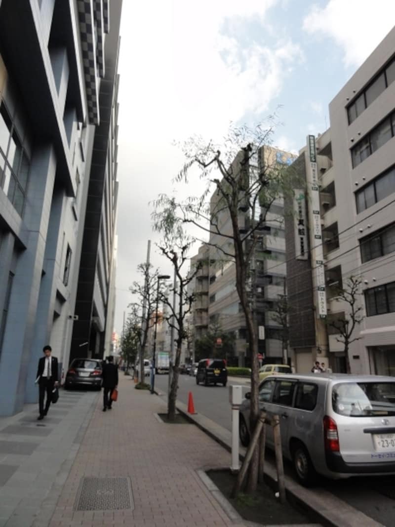 神田川と平行している柳原通り