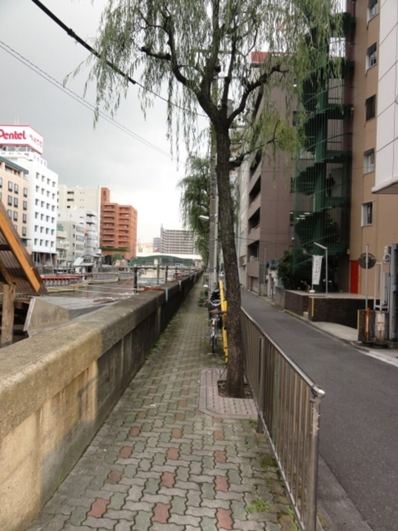 両側とも神田川沿いすぐのところに道がある