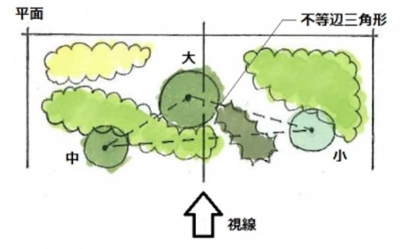 樹木の大きさと配置の法則(平面)