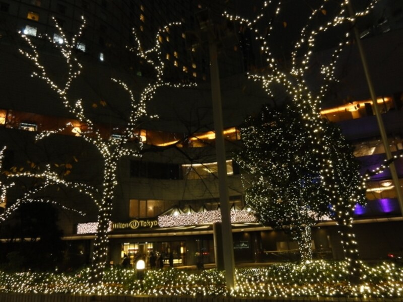 この周辺に点在するイルミネーションを巡るのも楽しい