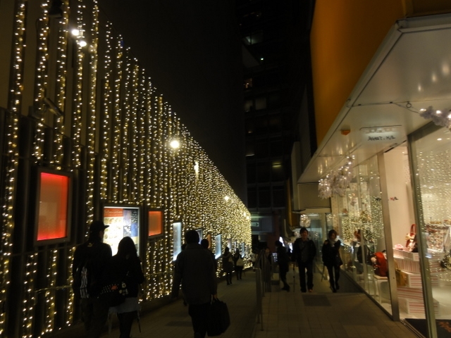 ショップなどが並んでいて、それらもイルミネーションの一部のようだ