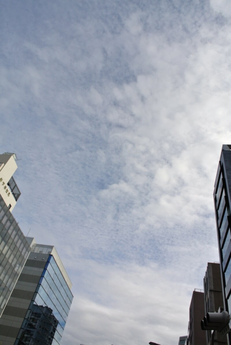 ニコン　Nikon 1 V1　実写画像