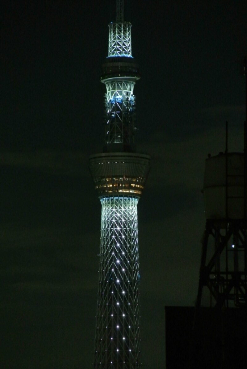 ニコン　Nikon 1 V1　実写画像