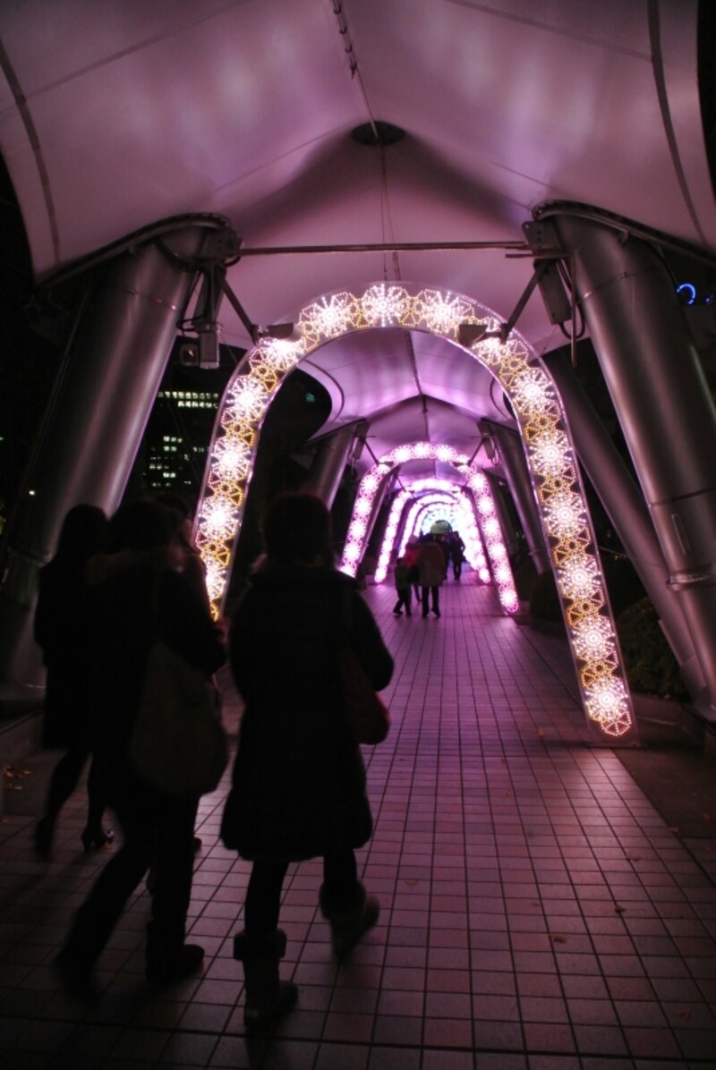 ニコン　Nikon 1 V1　実写画像