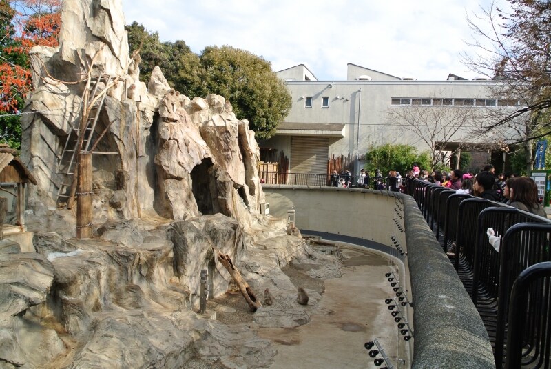 ニコン　Nikon 1 V1　実写画像