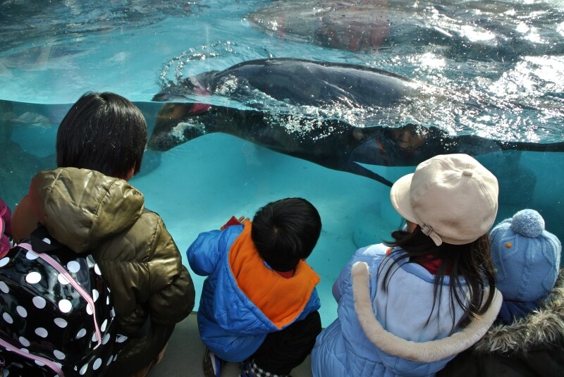 ニコン　Nikon 1 V1　実写画像