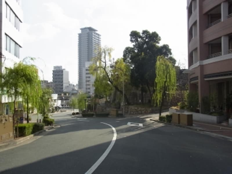 南斜面の元町。