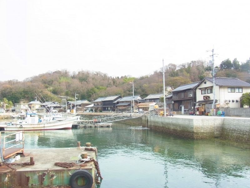 漁火の目の前は港