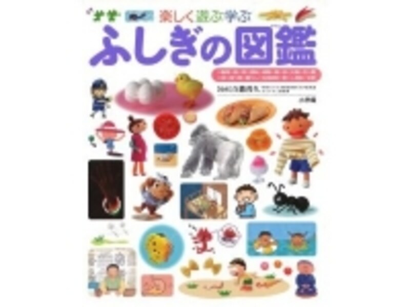 『楽しく遊ぶ学ぶ ふしぎの図鑑』の表紙画像
