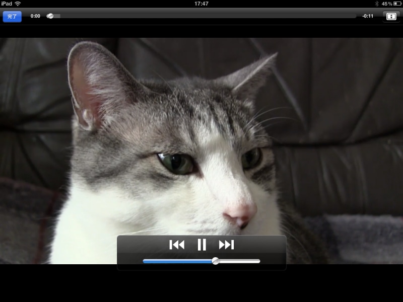 MPEG-4形式(1280×720)で撮影した映像を再生