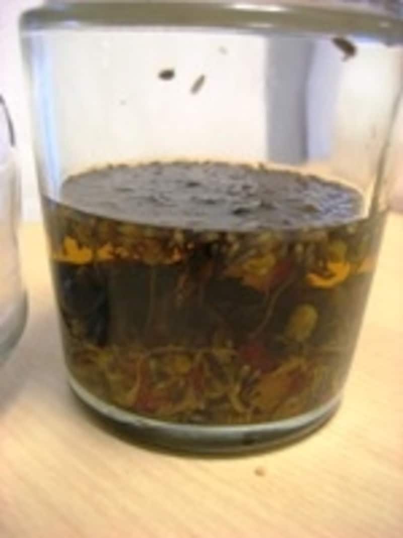 ドライハーブ浸出液