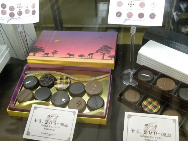 8個入BOX「モード」は、眼鏡ケースにもなる