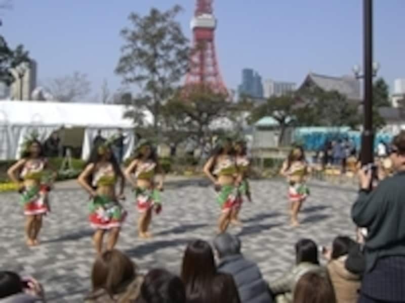 タヒチダンスにランナーも負けた