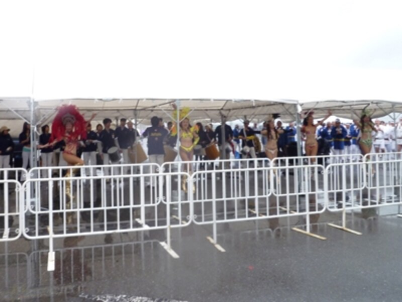 折角のサンバも目に入ってこないです