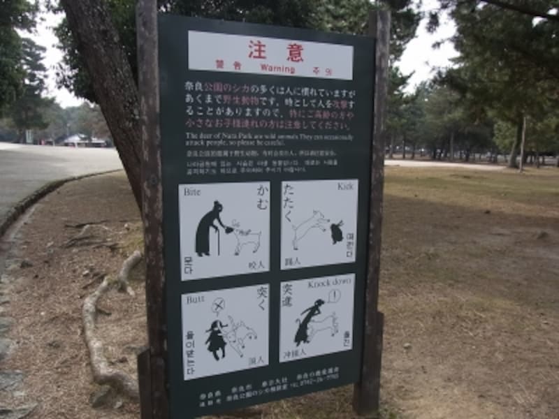 鹿に注意